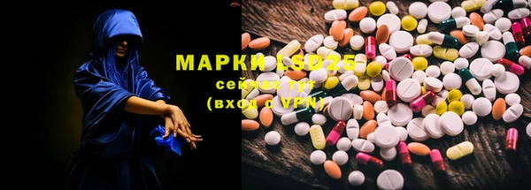 хмурый Алзамай