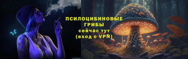 хмурый Алзамай