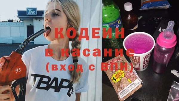 хмурый Алзамай