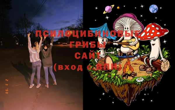 ALPHA PVP Покровск
