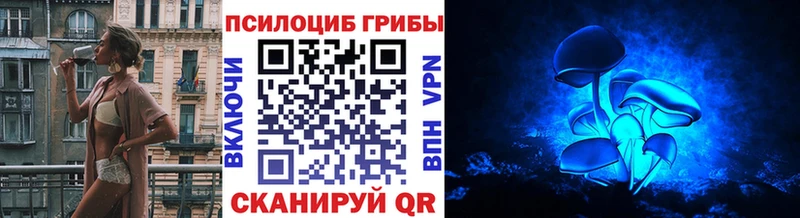 Псилоцибиновые грибы Psilocybine cubensis  Анжеро-Судженск 